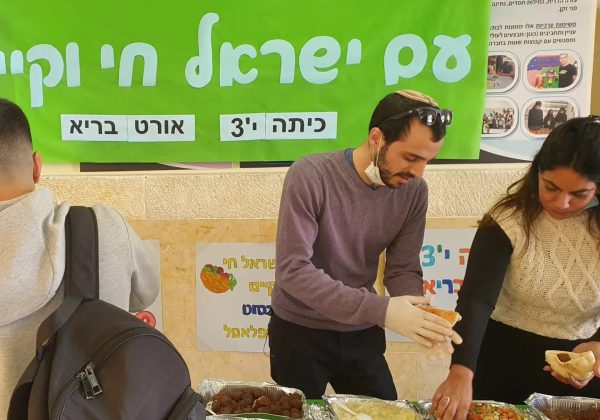 מבצע דוגו